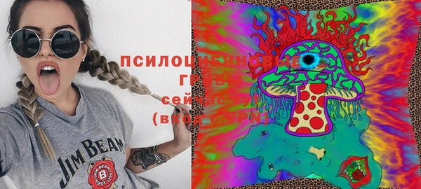 тгк Дмитров