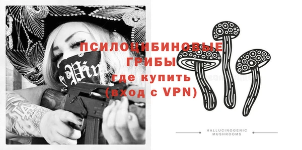 ALPHA-PVP Дмитриев