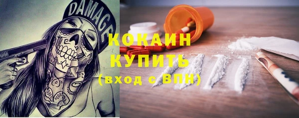 тгк Дмитров