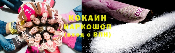 тгк Дмитров